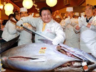 Japonská aukce tuňáka obecného - nejdražší exemplář z roku 2013