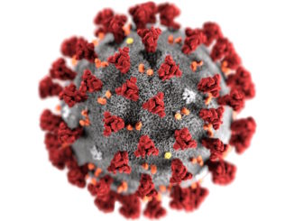 Koronavirus - COVID-19 - epidemie - pandemie